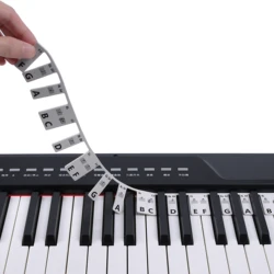 Free Paste Overlay Type 61 / 88 Keys Piano Note Marker Silicone Strips for Beginners / Kids,No Glue Practice Sticker Easy Using