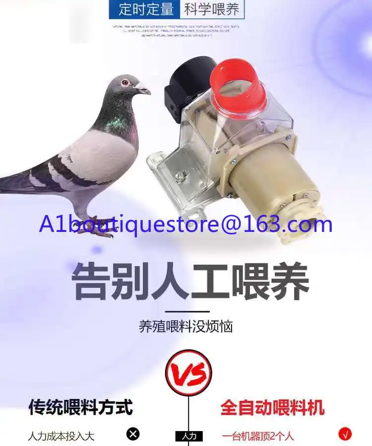 Mangiatoia per animali domestici Mangiatoia per polli Piccione Alimentazione automatica temporizzata Dodici Volt DC Macchina di scarica Pollo remoto