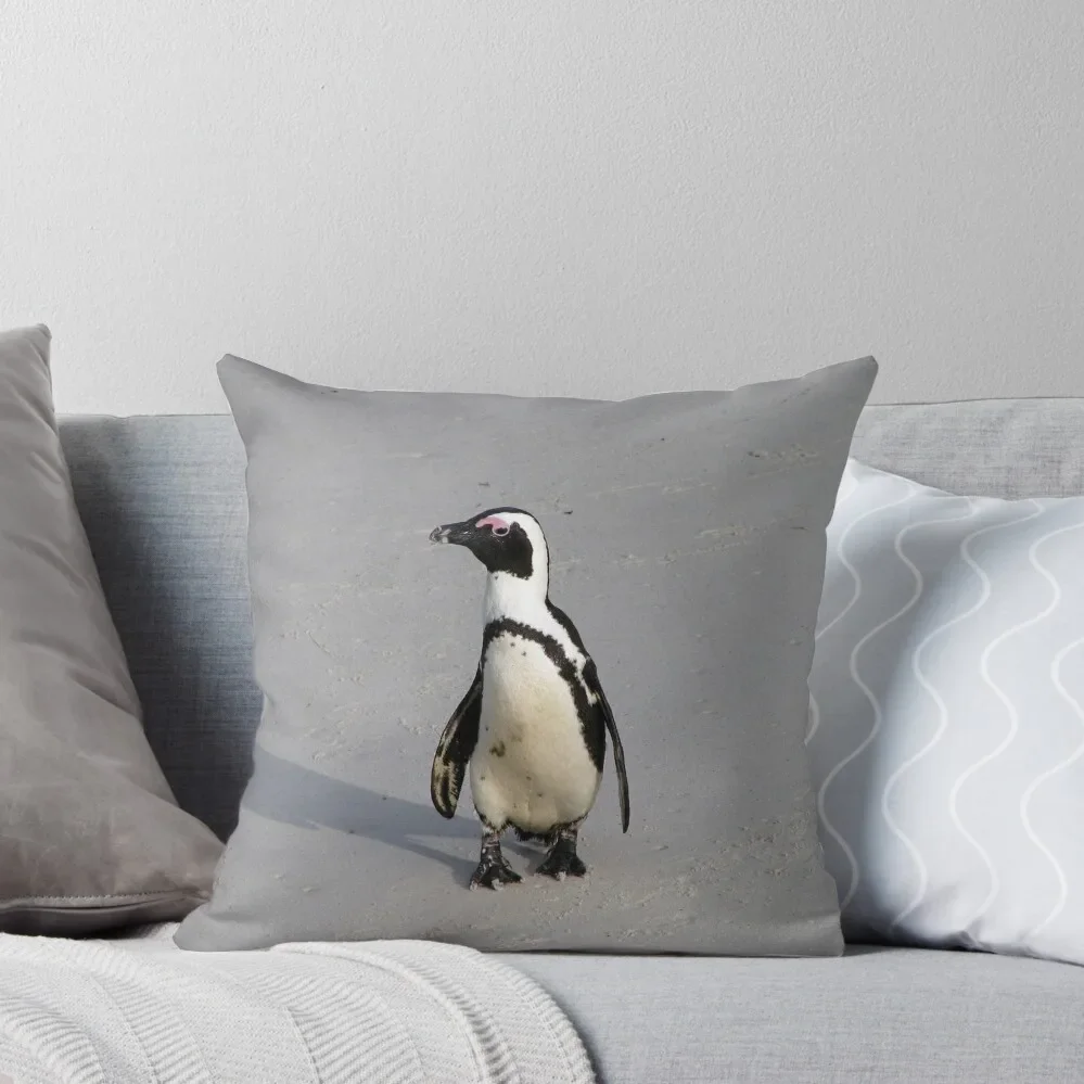 

African Penguin Boulders Beach, Cape Town, South Africa Throw Pillow New year Decorative Pillow Covers For Sofa pillow