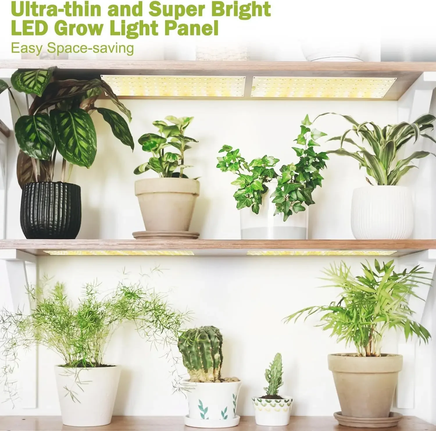 แผงไฟ LED Grow ลูกปัด135-570 20W เต็มสเปกตรัมแผงบางเฉียบหรี่แสงได้จับเวลาตู้ปลูกต้นไม้ในร่ม80-220V