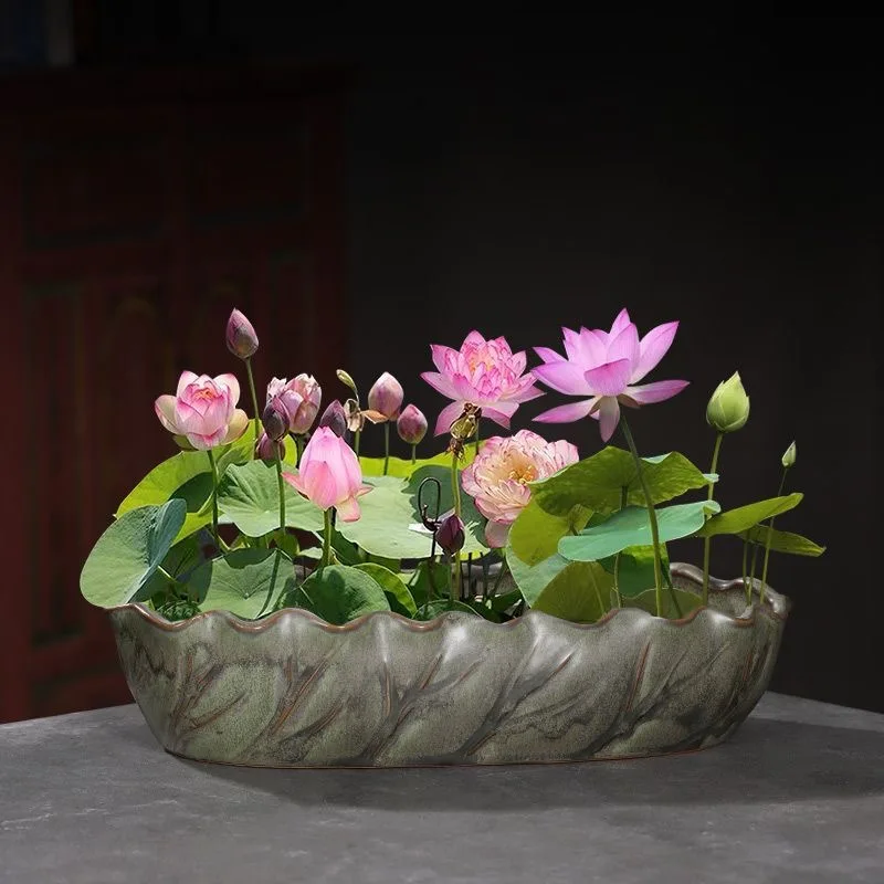 Pot de fleurs en céramique créatif en forme de feuille de lotus pour culture hydroponique non poreuse, idéal pour la culture de la herbe à monnaie, du lotus, du nénuphar et du narcisse.