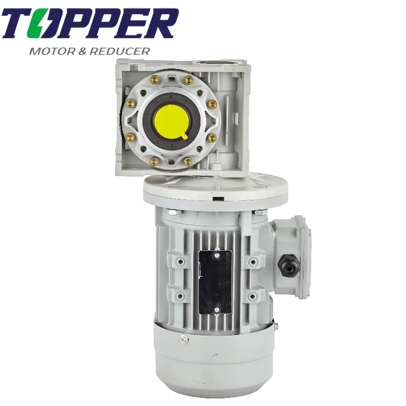 YEJ2 Three Phase 0.75kw Electromagnrtic-brake Asynchronous Induction Motor with NMRV063 80B5/B14 IEC Input Flange Worm Reducer