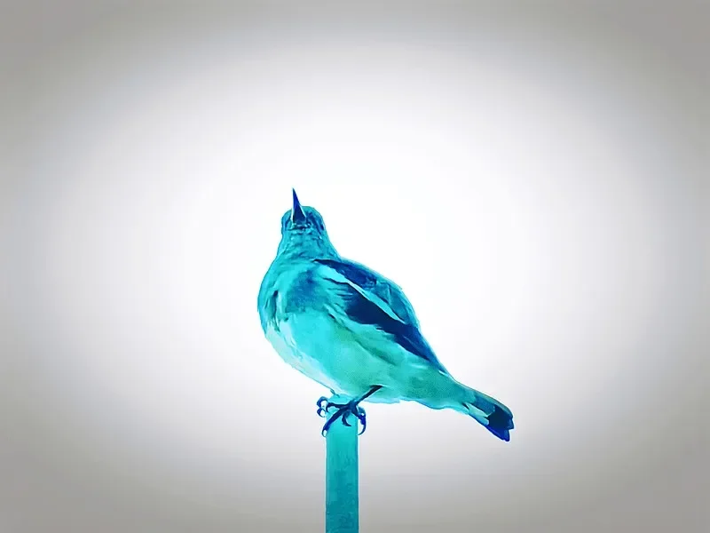 Antena FPV HPXGRC 5.8GHz - RHCP 5.2-6GHz do quadcoptera RC Freestyle DIY