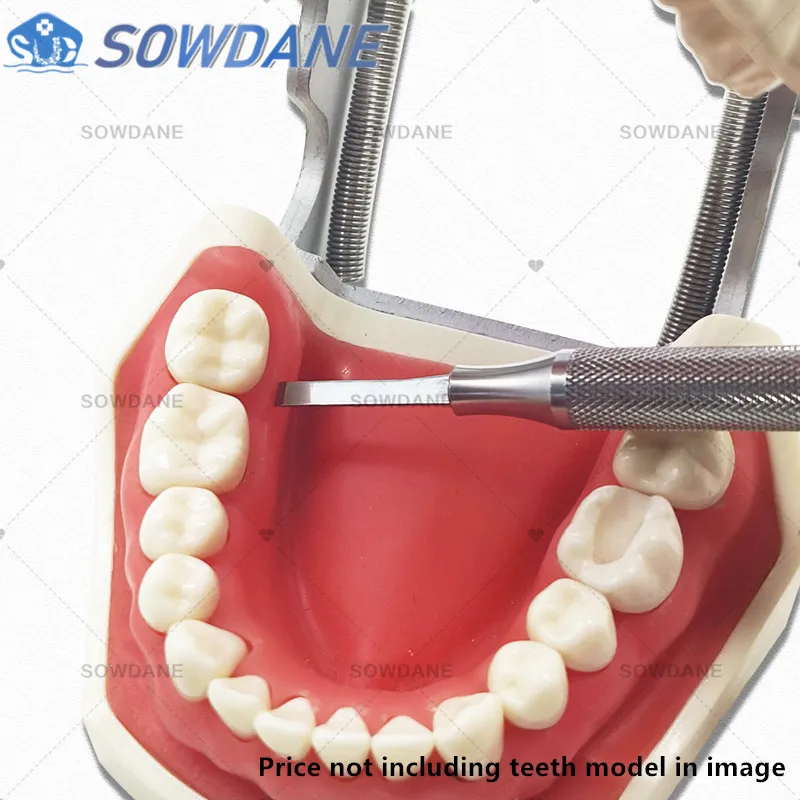 Stainless Steel Stainless Steel Dental Implant Surgical Micro Scalpel Handle Dentist Surgical Blade Handle Holder Tools