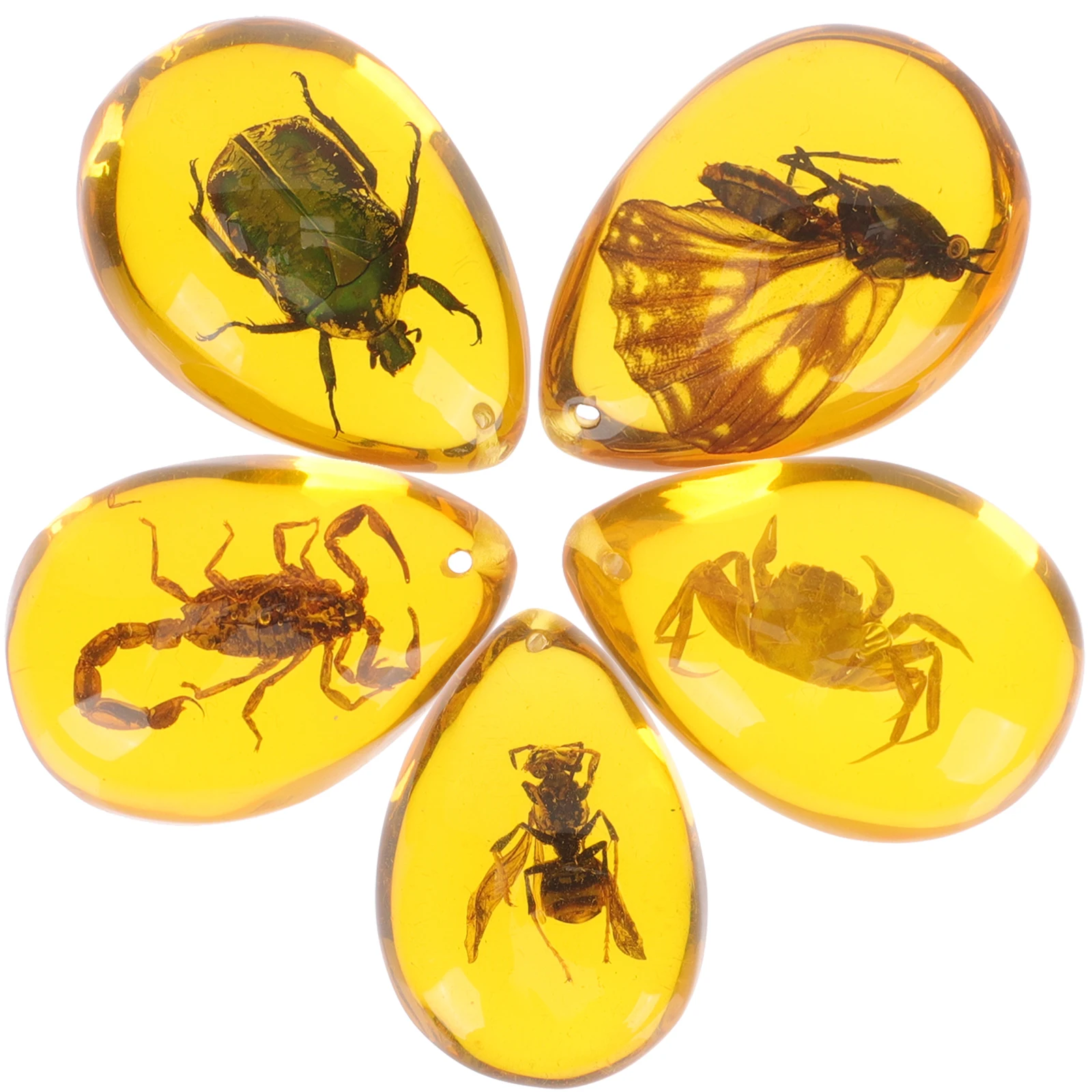 

5 Pcs Insect Specimen Amber Decoration Scarab Jewelry Pendant Ornament Resin Pendants