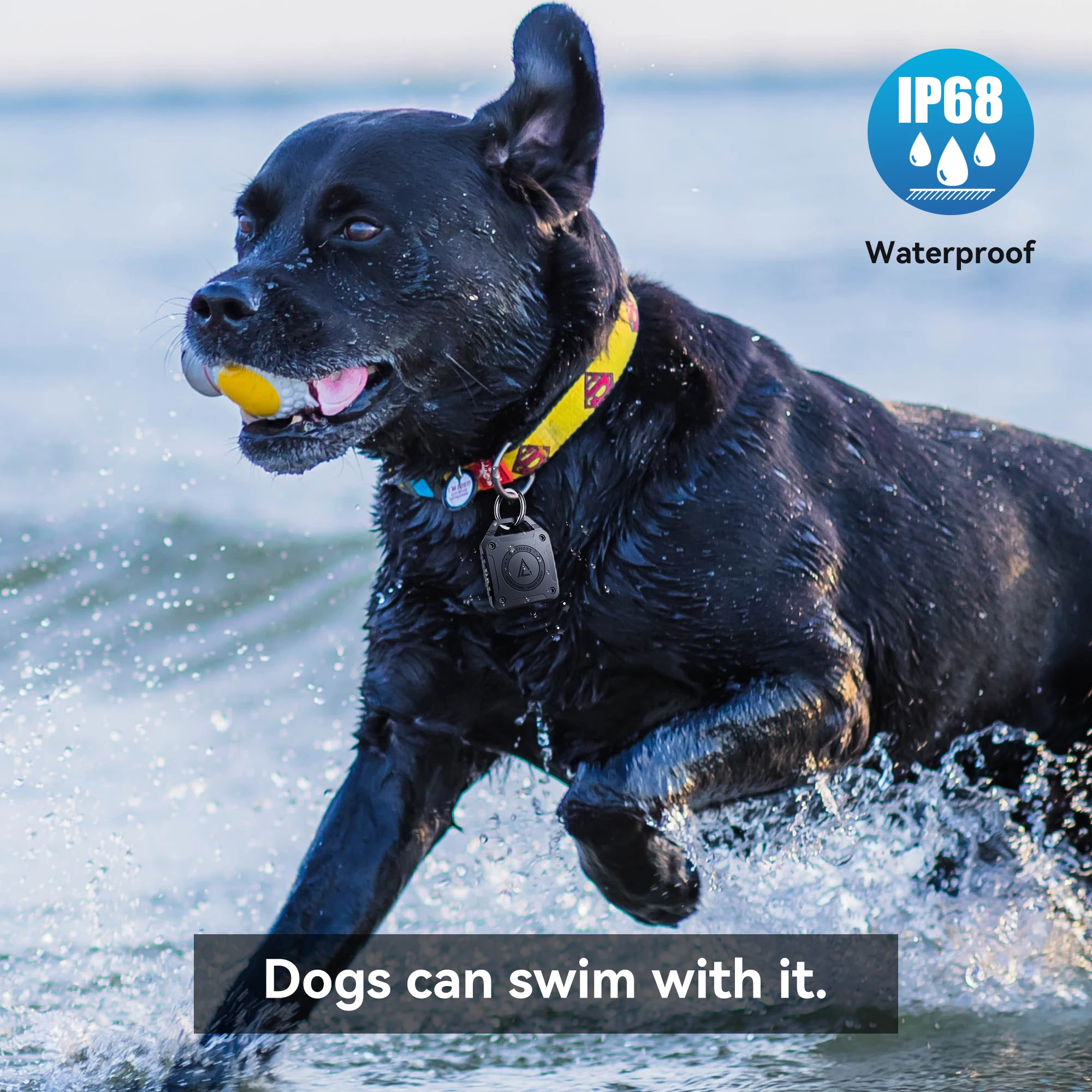 2er Pack für Apple Airtag Fall Schlüssel bund Airtag Halter wasserdicht Hund Katzen halsband Gepäcks chl üssel Ring Airtags Halter Anti-Scratch-Abdeckung