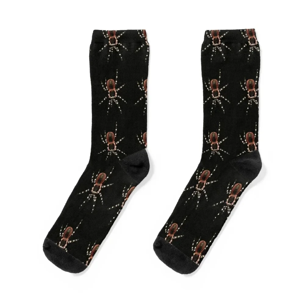 

Acanthoscurria geniculata tarantula Socks Sports Stockings man summer colored Socks For Women Men's