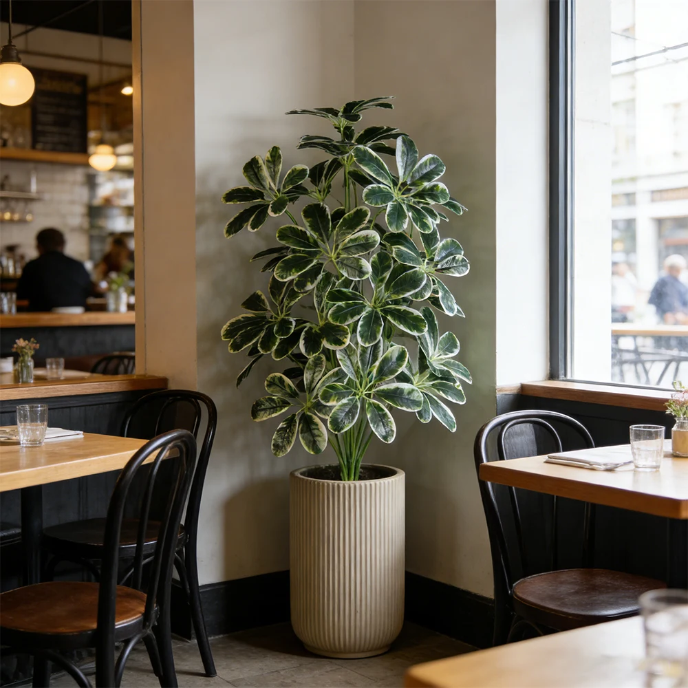 50-75 cm große künstliche Maranta-Pflanzen, künstliche Palme, Plastik-Monstera-Blätter, tropische Pflanze für Zuhause, Büro, Hochzeitsdekoration – Detail 4