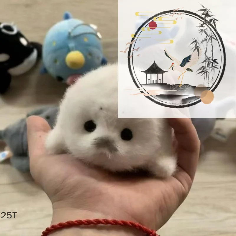 

Cute Baby Seal Doll Plush Toy Pendant Simulation Ocean Toy Souvenir Seal Pendant Gift Doll Bag Pendant