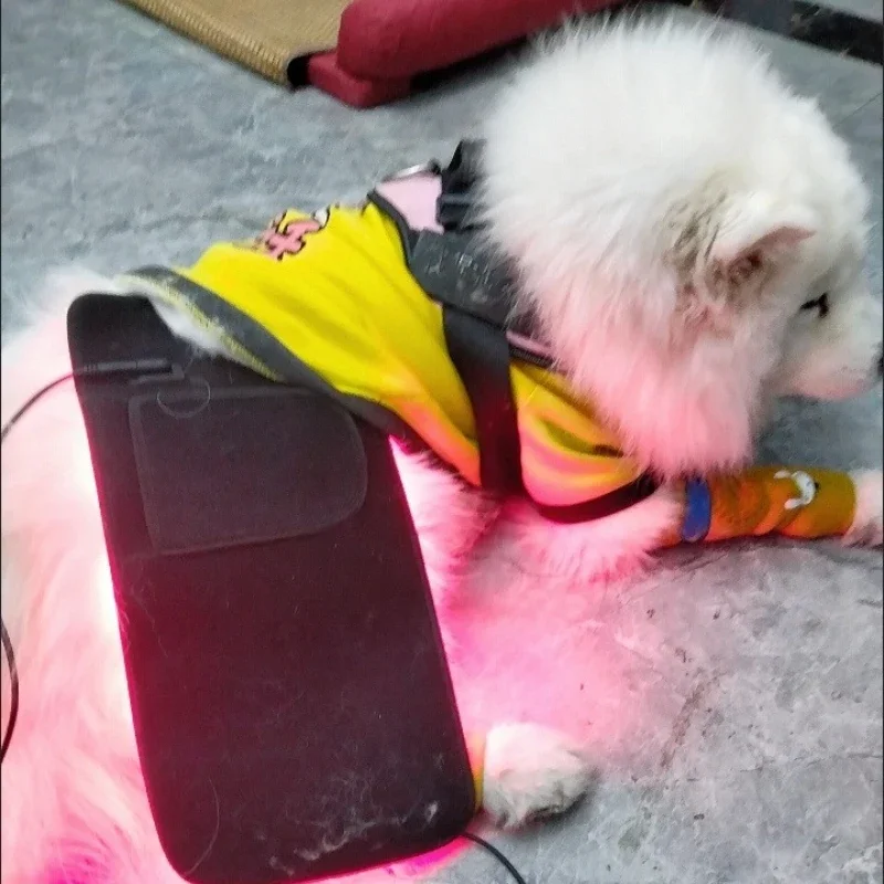 LED Red Infrared Light Dog Clothes Animal pain relief Therapy Wrap Belt Dog Coat for Pet back 660nm 850nm