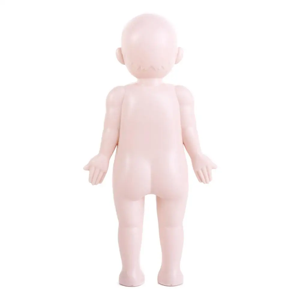 School Accessories Educational Learning Human Body Organ Model Human Organ Model Human Body Anatomy Toy Human Body Model