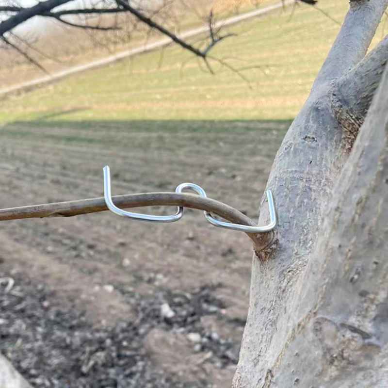 50-teiliges Obstbaum-Astbiege-Werkzeugset, Manuelle Astbiegegeräte zum Formen & Spreizen, Gartenbau-Werkzeuge für Obstgärten – Detail 6