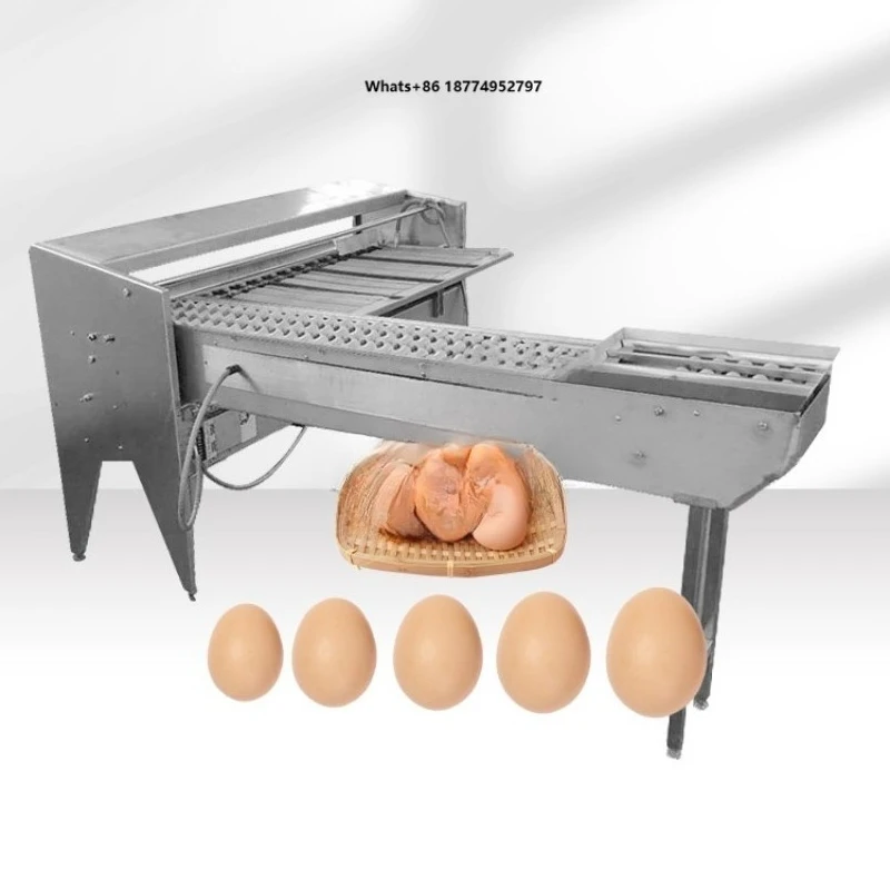 MY Automatic Egg Scale Classifier Size Sorting Grading Egg Grader Machine for Sale