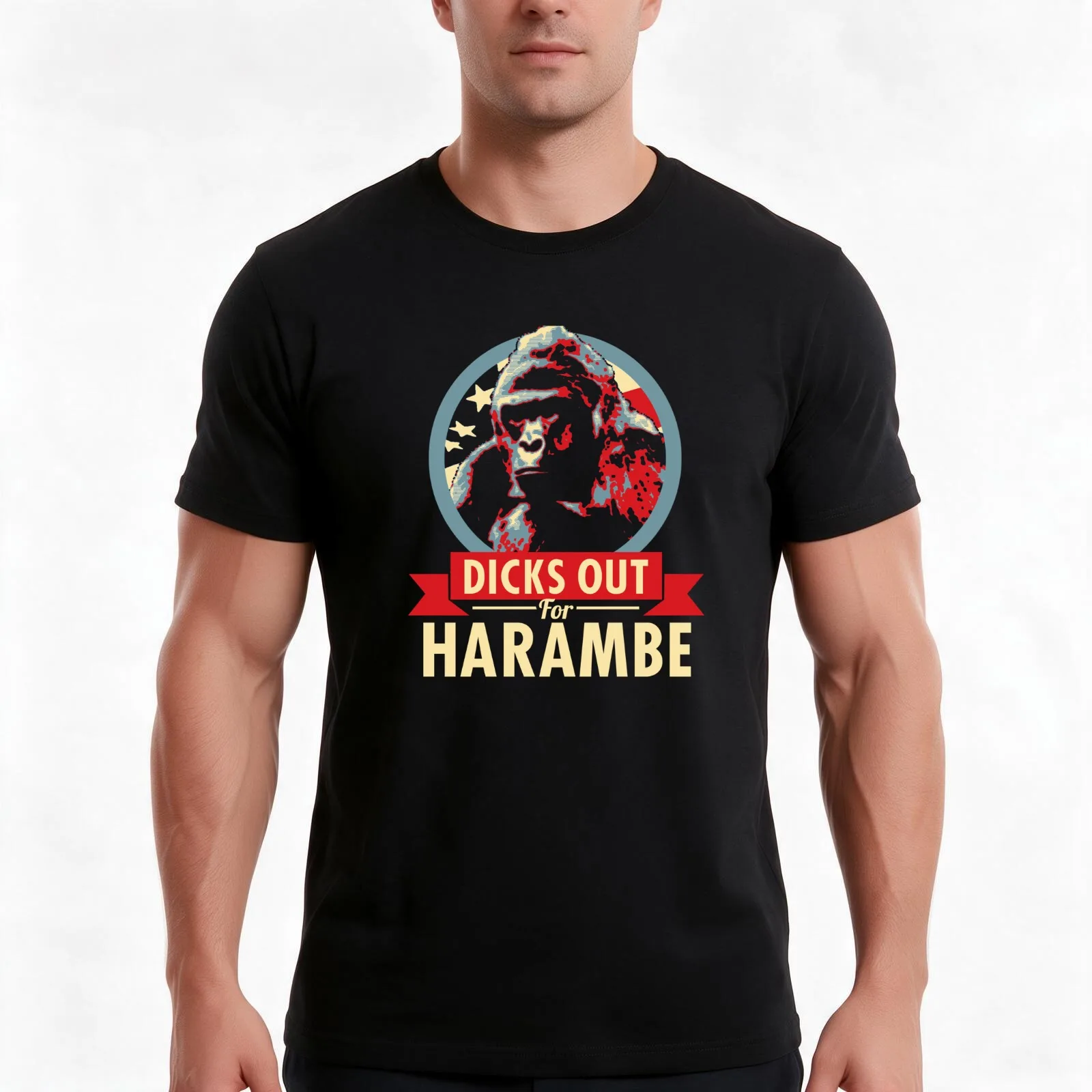 Hail to the Chimp (Dicks out for Harambe) T-Shirt, Summer Casual Cotton Tee, Oversized Streetwear Tops, Vintage Graphic Print