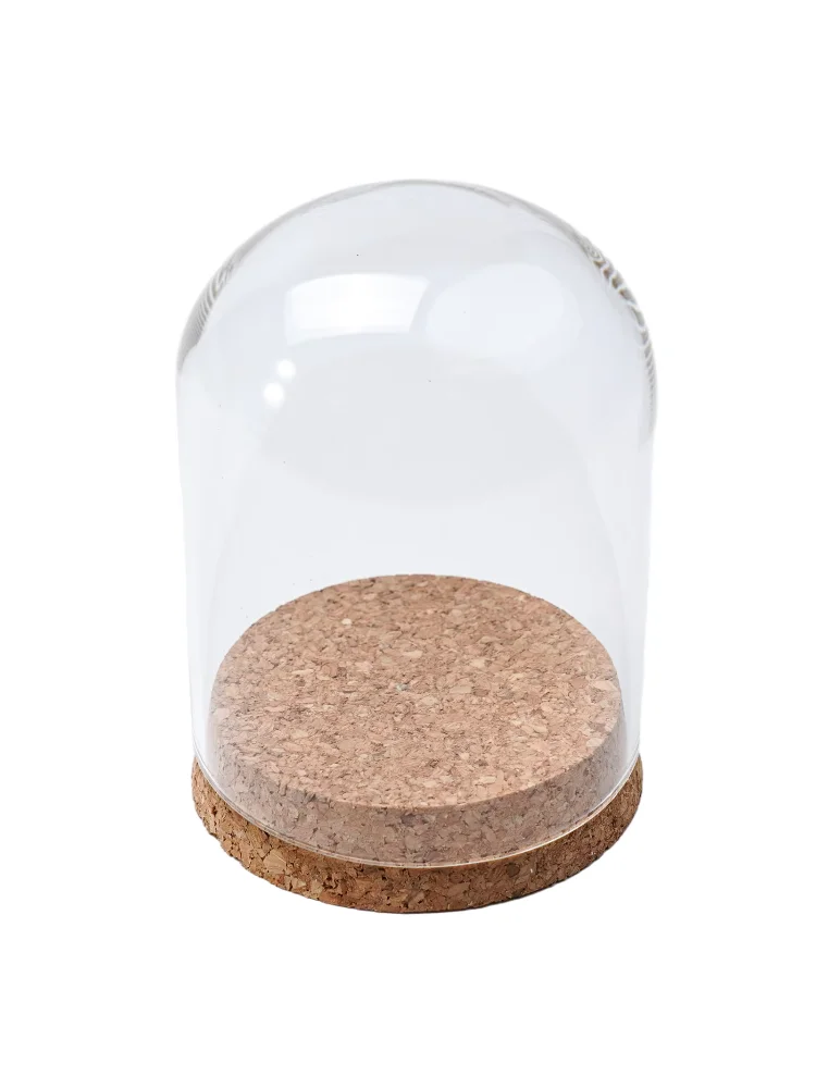 Modern Handcraft Glass Dome Cover Dry Flower Vase With Wood Cork Base Landcrape Figurines Model Display Artwork