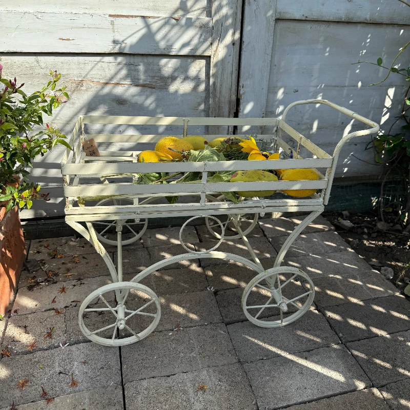 Vintage Iron Garden Cart with Wheels Rustic Plant Transport Trolley Multi-Purpose Yard Utility Wagon Plant Cultivation Carrier