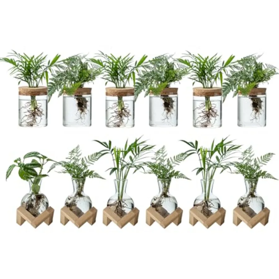 

Plant Propagation Station, 2 Style Glass Planter Terrarium Set for Hydroponic Plants Home Office Tabletop Decor, Gardening Gift