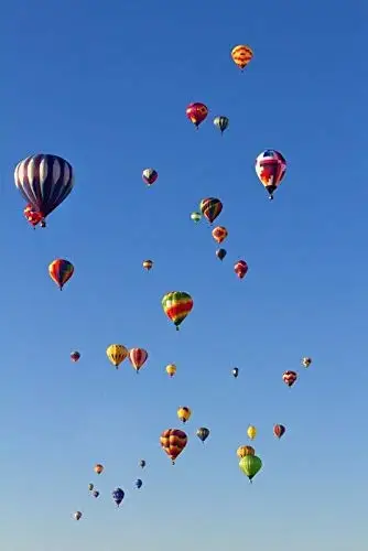 Balloon Fiesta in Albuquerque New Mexico Metal Tin Sign Retor Wall Decor Tin Sign 8x12 Inch