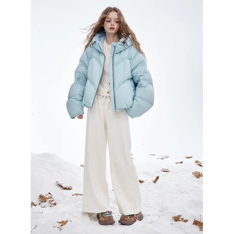 ELFSACK 2025 Winter New Arrivals Classic Soft Solid Color Hooded Short Down Jacket For Woman
