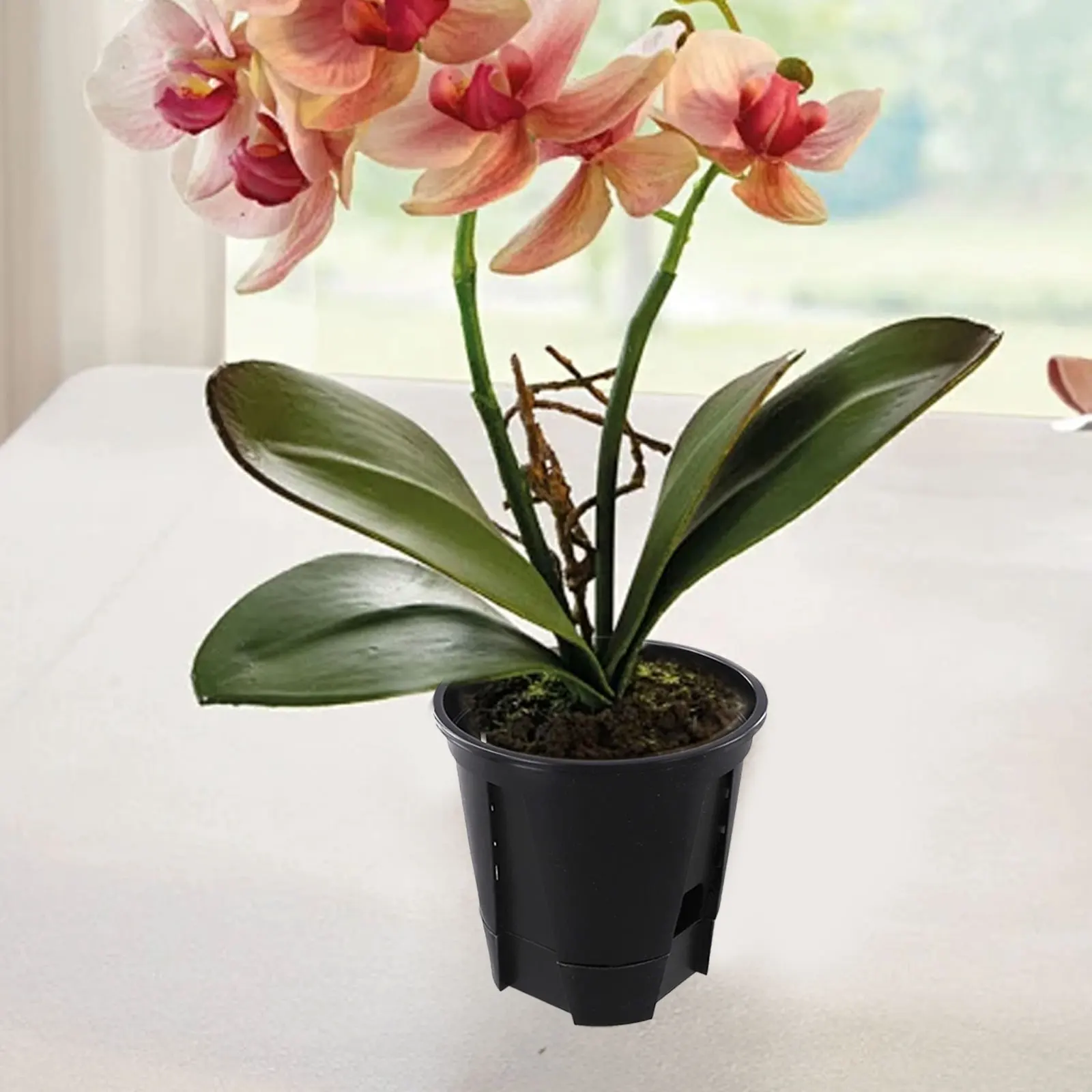 

For Commercial Displays Drainage Function 12*8.3*14 Adaptable To Sunlight Conditions Effective Drainage System