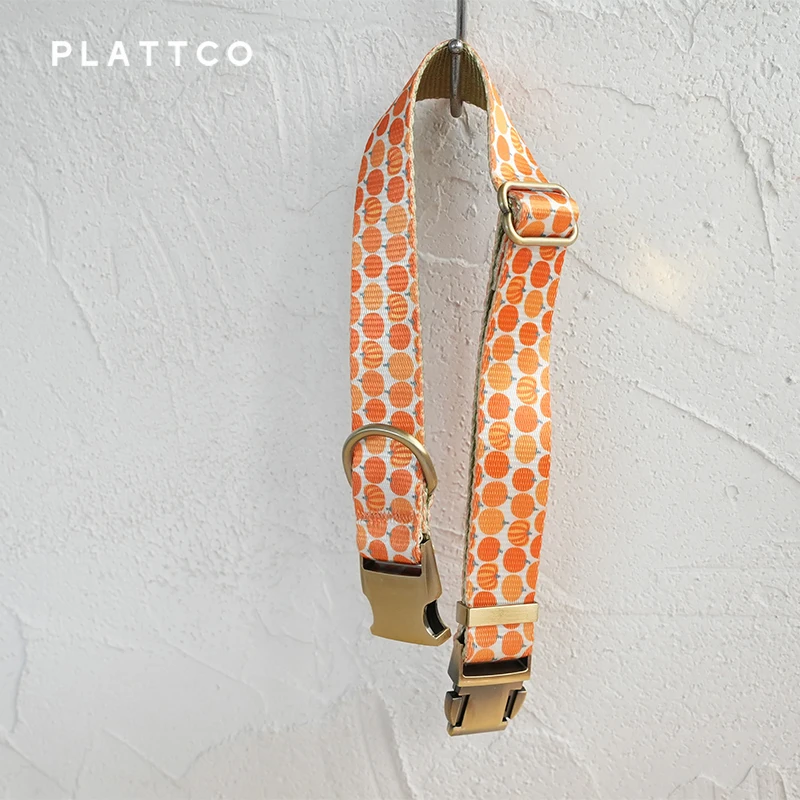 PLATTCO unique design dog collar print Harvest Pumpkin with high-quality bronze buckle size 5 PDC367Br