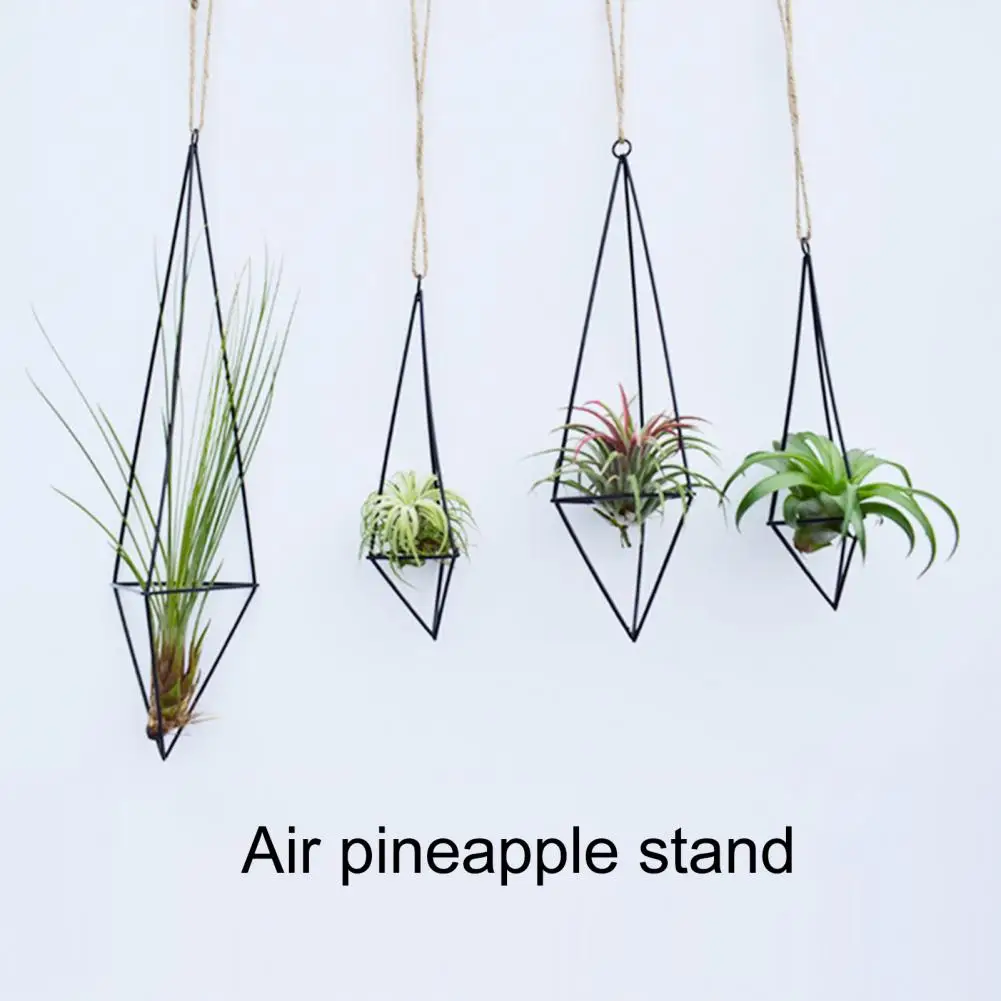 1 Set Air Plant Holder  Easy to Install   Tillandsia Hanger Unique Hanging Air Plant Holder Tillandsia Planter