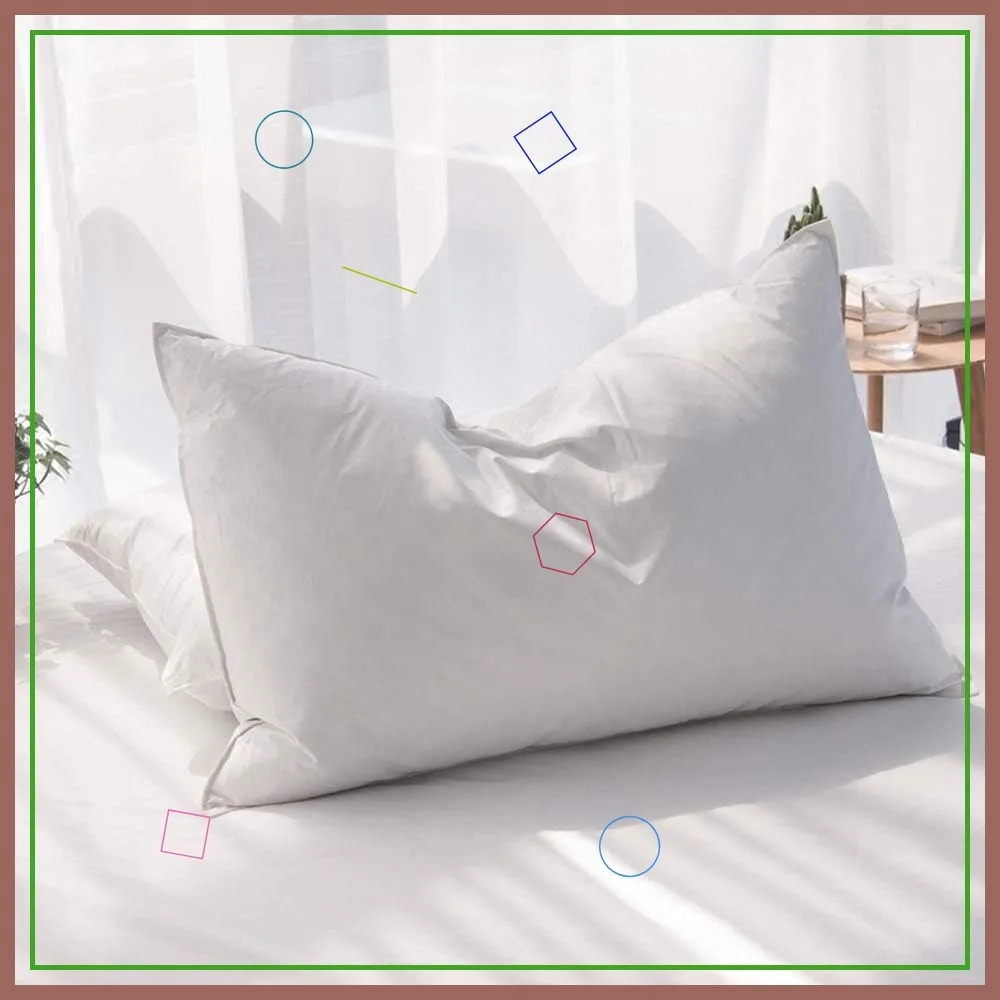 

Luxury Feathers Down Pillows Queen Size Set of 2, Hotel Quality Fluffy Bed Pillows for Sleeping with Organic Cotton Cover