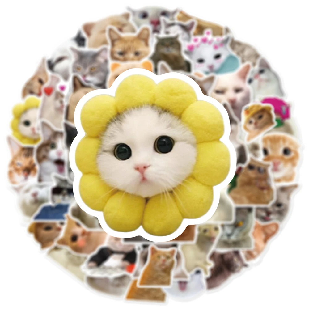 10/30/50pcs Cute Cats Stickers Funny Animal Meme Catoon Decoration Decal DIY Notebook Phone Fridge Car Kawaii Sticker Joke Toys