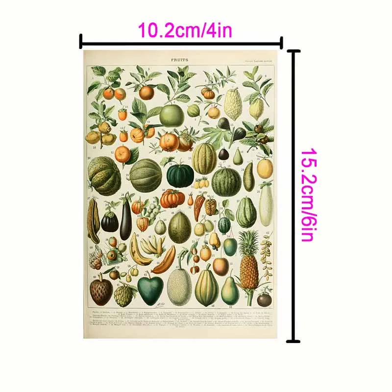 10/30Pcs Vintage Aesthetic Wall Collage Kit Botanical Insect Pictures Boho Art Posters Trendy 4x6\'\' Poster Card for Dorm Decor