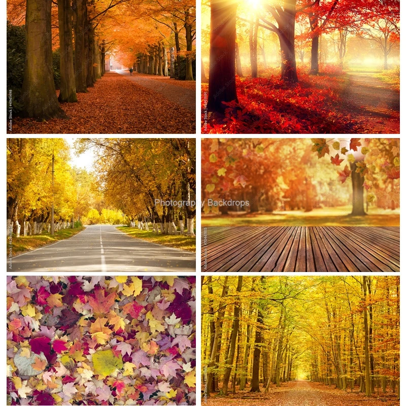 

ZHISUXI Natural Scenery Photography Background Fall Leaves Forest Landscape Travel Photo Backdrops Studio Props QQTT-01