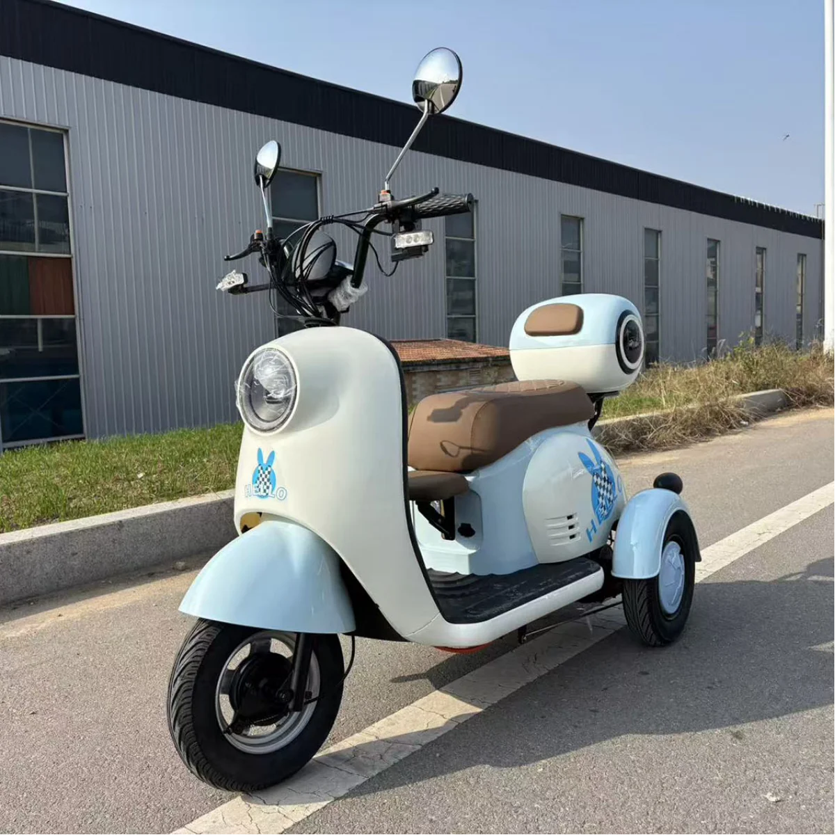 Popular Affordable Electric Tricycle 3-Wheeler with 60V Battery Color Options