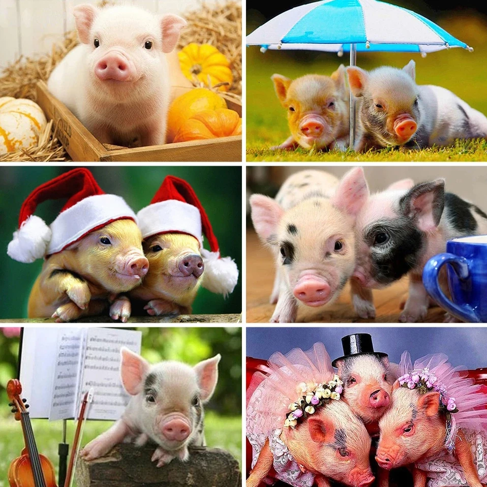 5D Diy Diamond Painting Animals Pet Pig Full Rhinestones Embroidery Mosaic Art Cross Stitch Kits Home Decor New Arrivals 2023