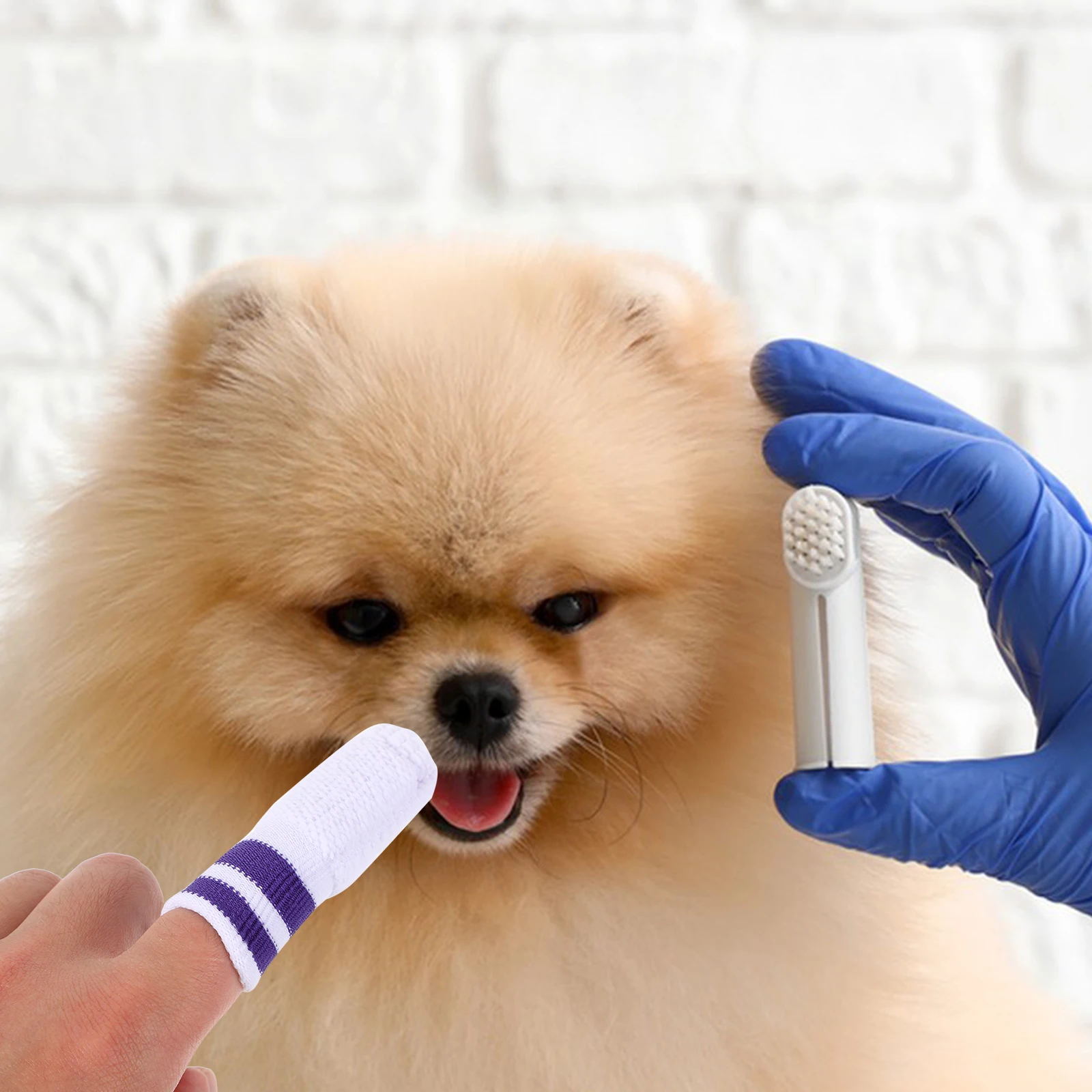 

6 Pcs Pet Cleaning Finger Cot Soft Toothbrush For Cats Dogs Teeth Care Oral Hygiene Supplies Dental Accessories