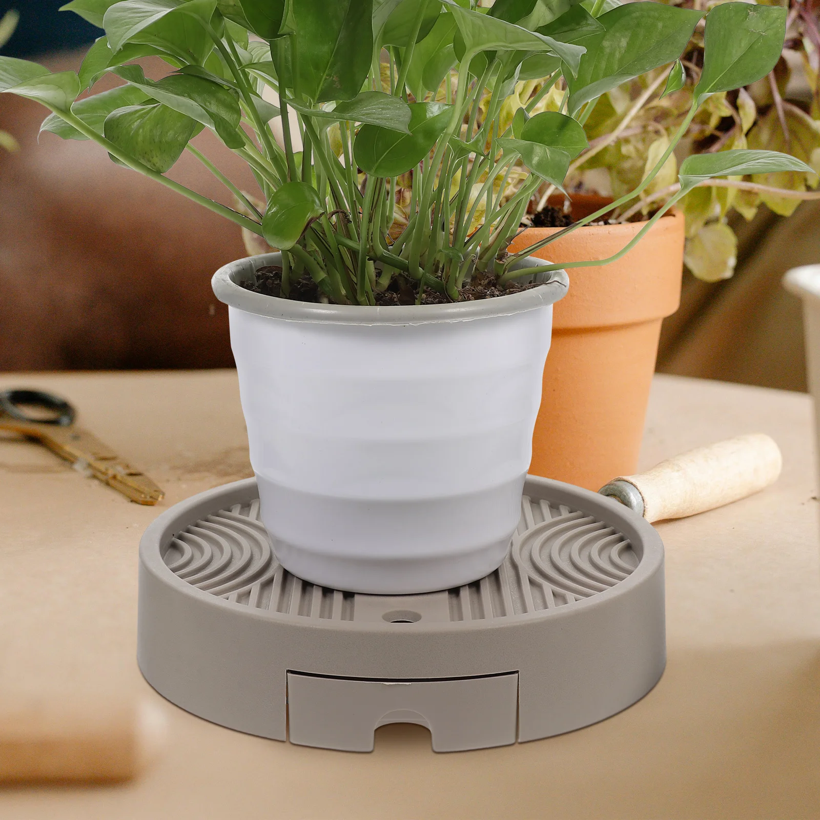 

1pc Universal Wheel Plant Tray Detachable Water Storage Drainage Holes Rolling Caster For Potted Plants Drip Tray Flowerpot