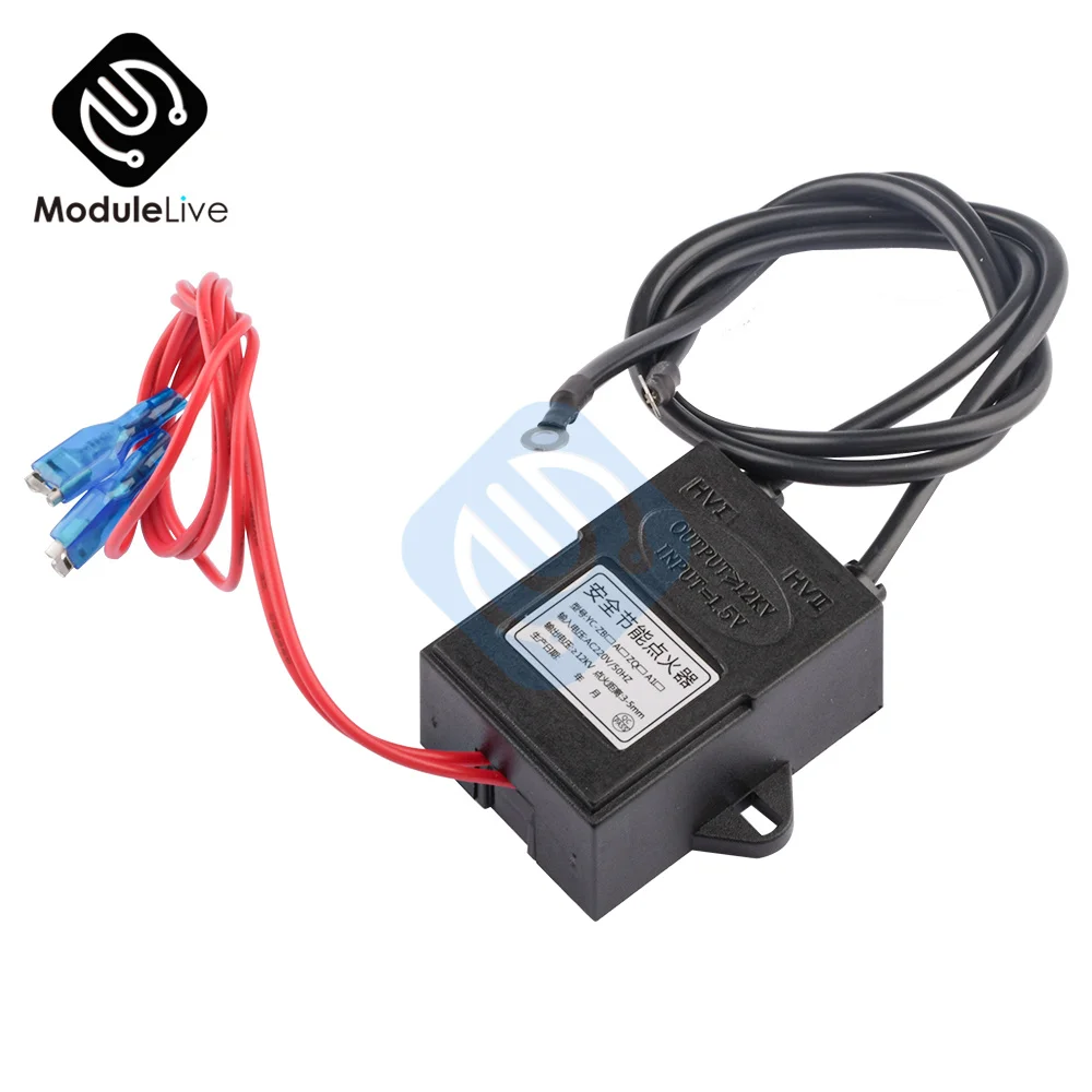 New AC 220V High Voltage Generator Module Continuous Igniter Pulse Generator Inverter Step Up Power Converter Transformer 20000V