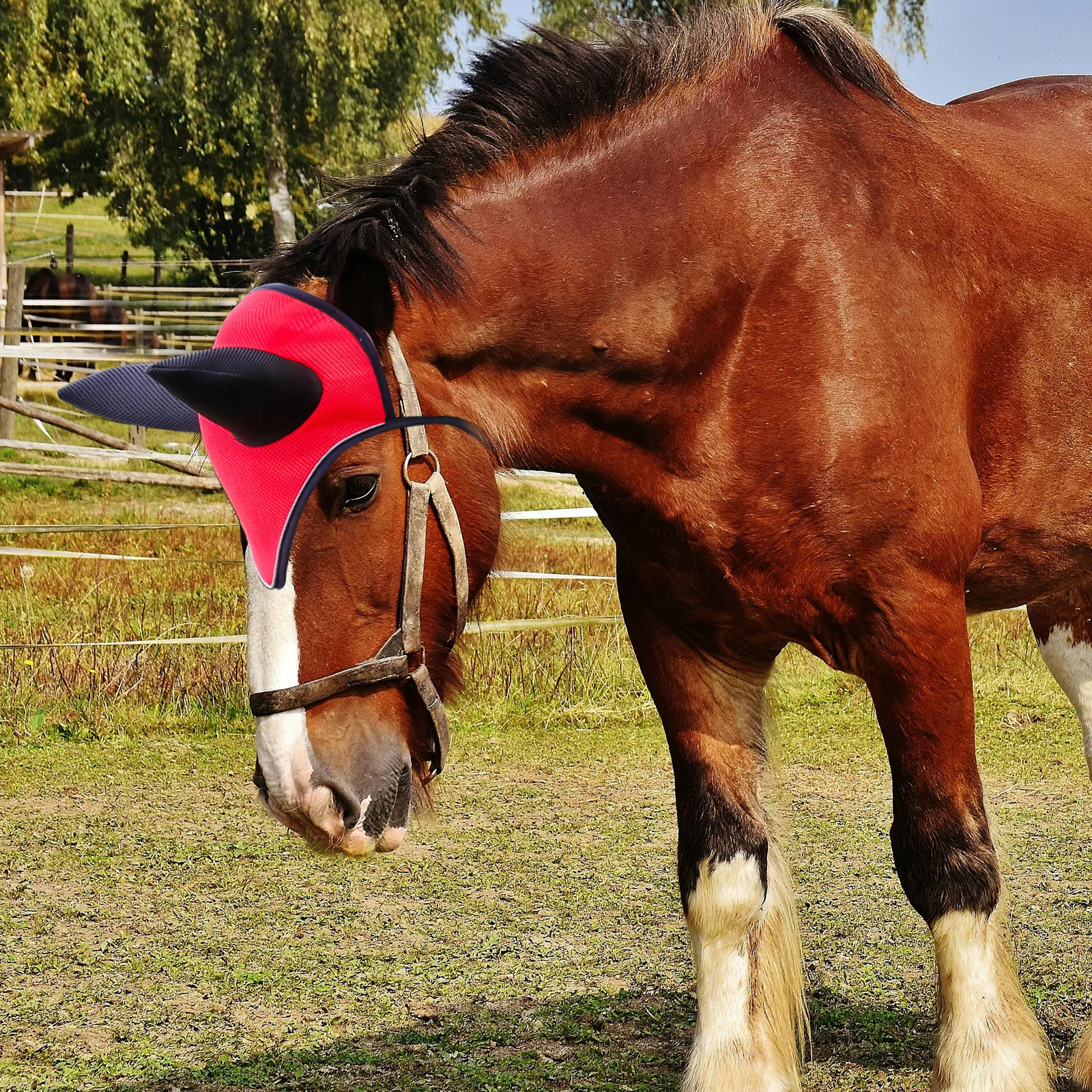 

Breathable Ear Protector Fly Proof Mesh Mask Comfortable Fit for All Breeds Horse Equipment Accessories