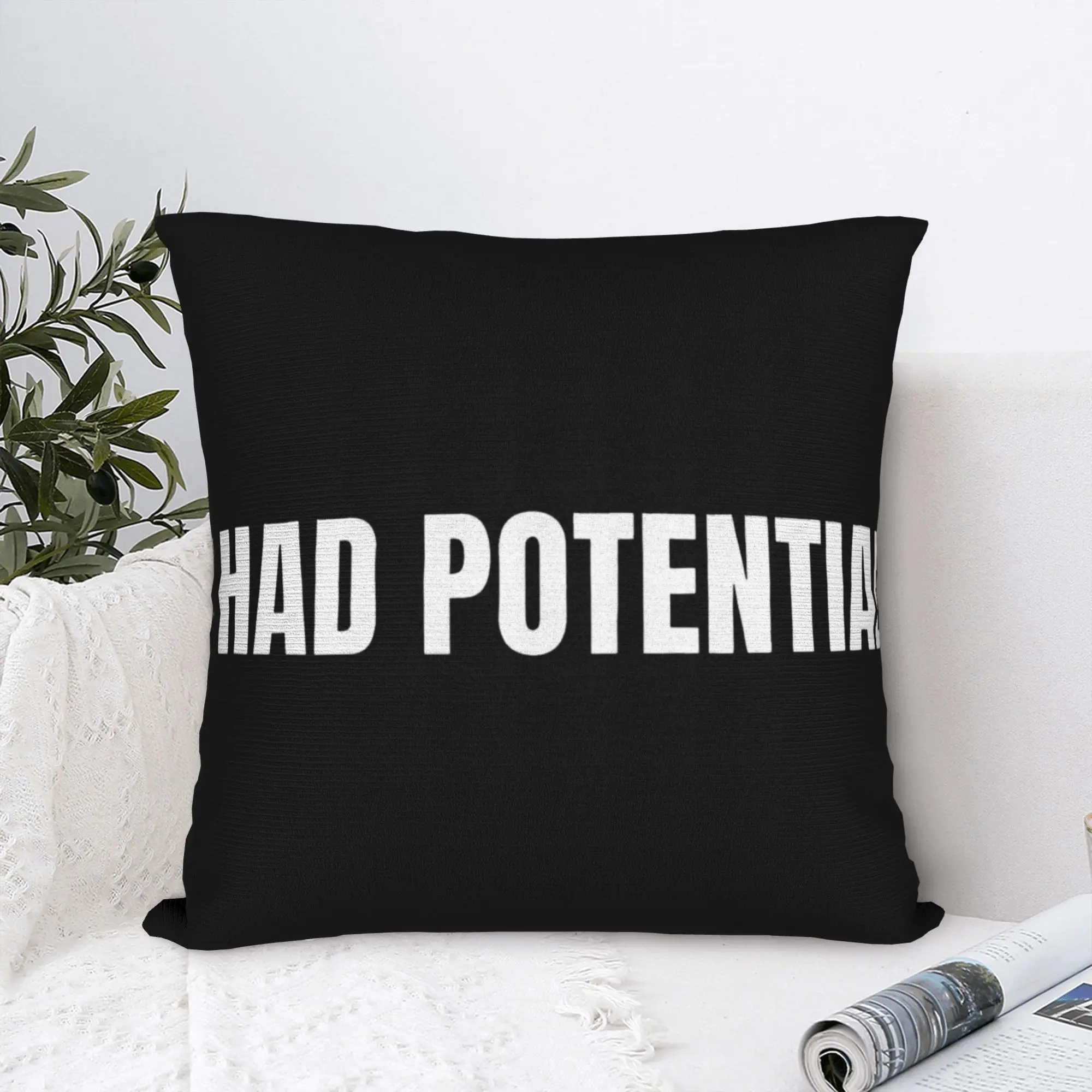 Pillow Cover I Had Potential Project Hail Mary  Novelty Pillow Case For Living Room Bed Chair Pillowcases