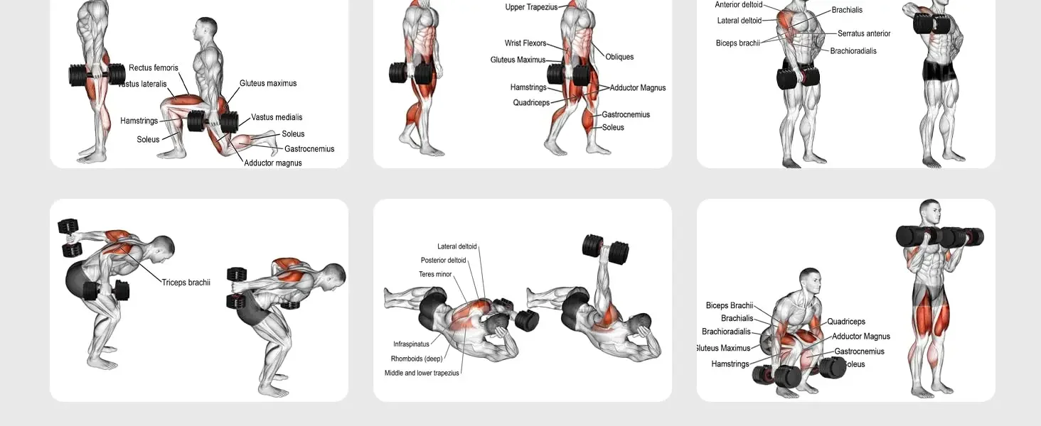 HYPATA Adjustable Dumbbell Set