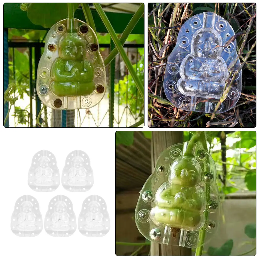 

5pcs Fruit Growing Mold Shaping Tools for Melon Gardening Accessories Plastic Transparent Vegetable Molds Sturdy Practical
