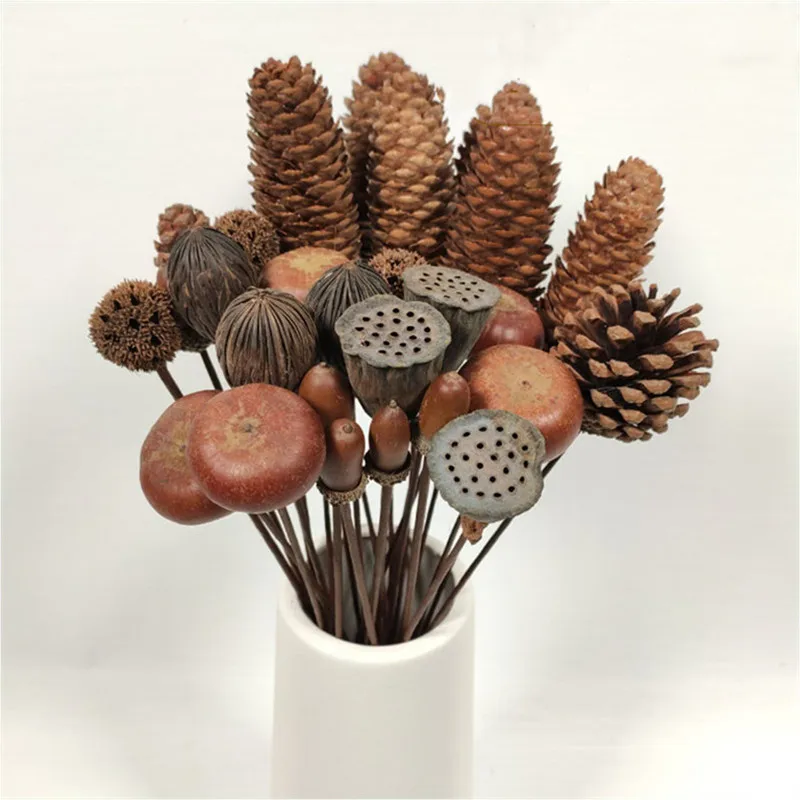 

Bouquet Made Of Natural Plants Consisting Oof Pine Cones, Lotus Discs, And Lamanuts 5pcs/Lot Shooting Props Diy Flower Arrangeme