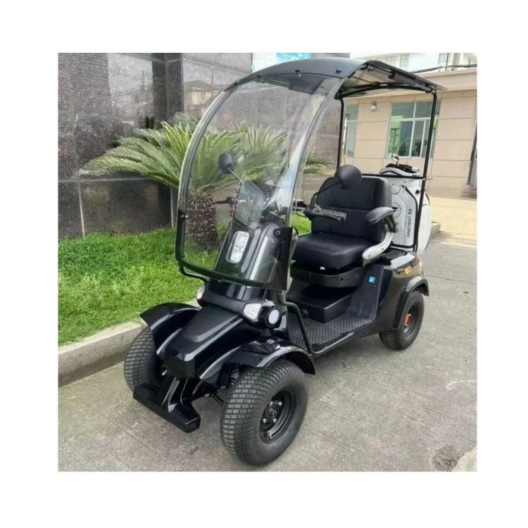 

New Low Speed Electric Four-wheel Motorcycle Golf Cart 2 Motors Lead Acid Battery