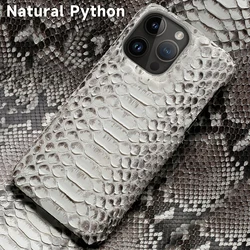 Genuine Leather Python Phone Case For iPhone 17 16 15 13 14 Pro Max Air 17Pro 16Pro 15Pro 12 11 Promax Luxury Back Cover Shell