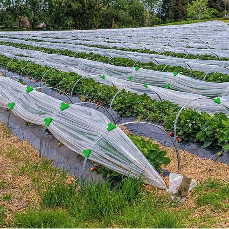 Abfs 50Pcs Greenhou… - image