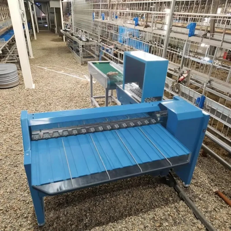 Customizable Used Egg Grader for Sale Egg Sorting Grading Machine Automatic Egg Washing and Grading Machine
