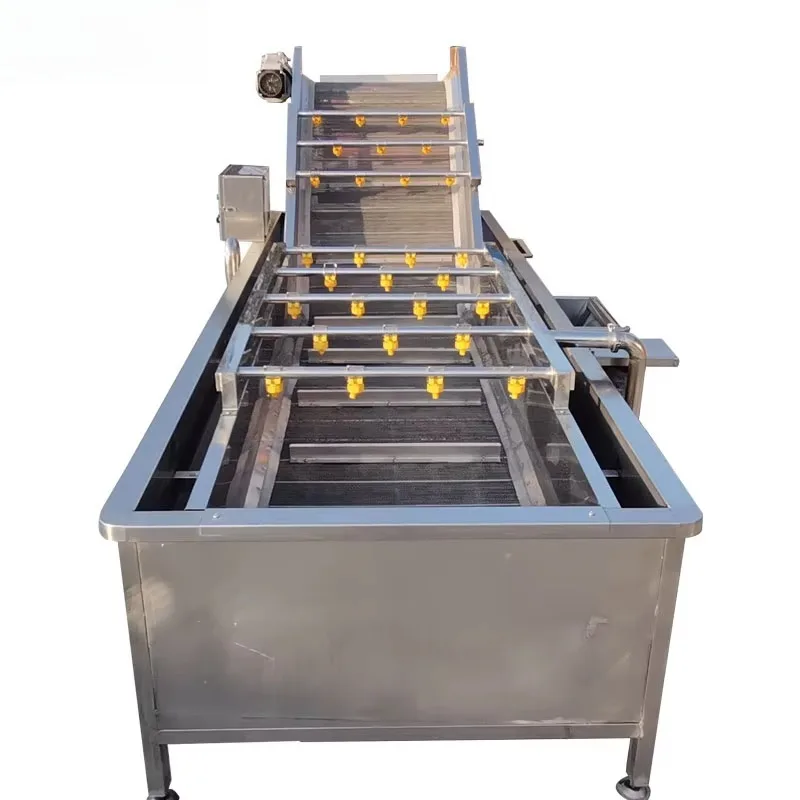 Automatic Fruit and Vegetable Bubble Cleaning Machine Stainless Steel High Performance