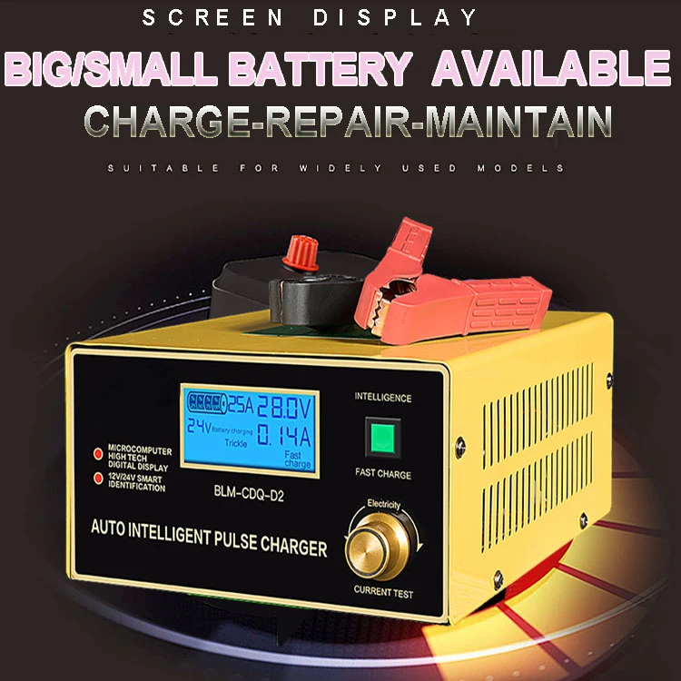 High Current 30A 12v 24v Car Battery Charger Truck Vehicle Lifeboat Battery Charger with LCD Display