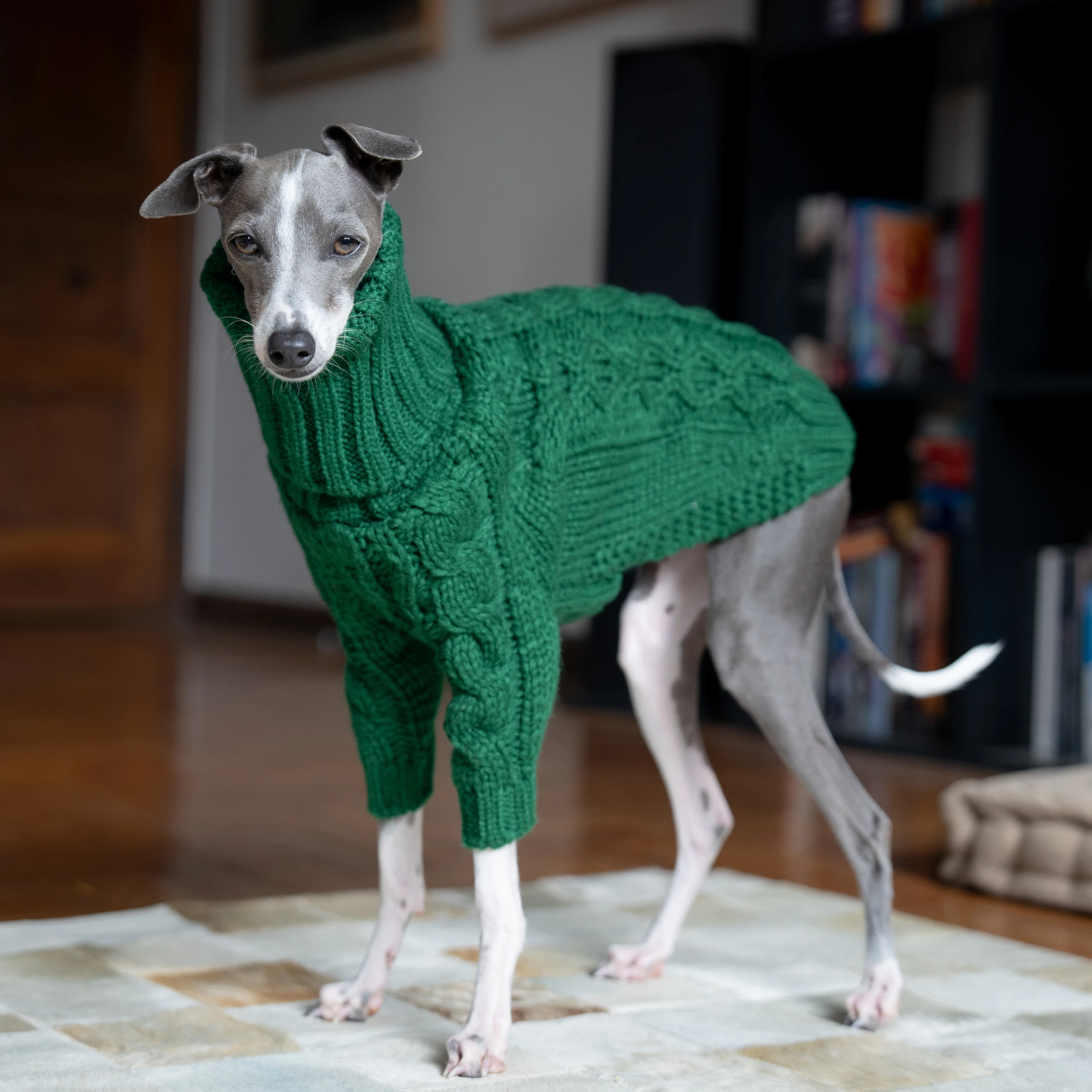 Turtleneck Twist Knitted Sweater for Dogs, Italian Greyhound Whippet, Warm Dog Coat, Dog's Winter Clothing