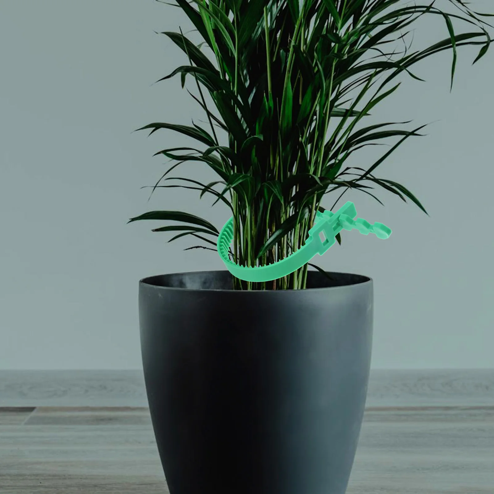 

8Pcs Tree Ties Support Strap Garden Plant Staking Strap Resistant Tree Stake Tie for Wind Stump Fixing Tool