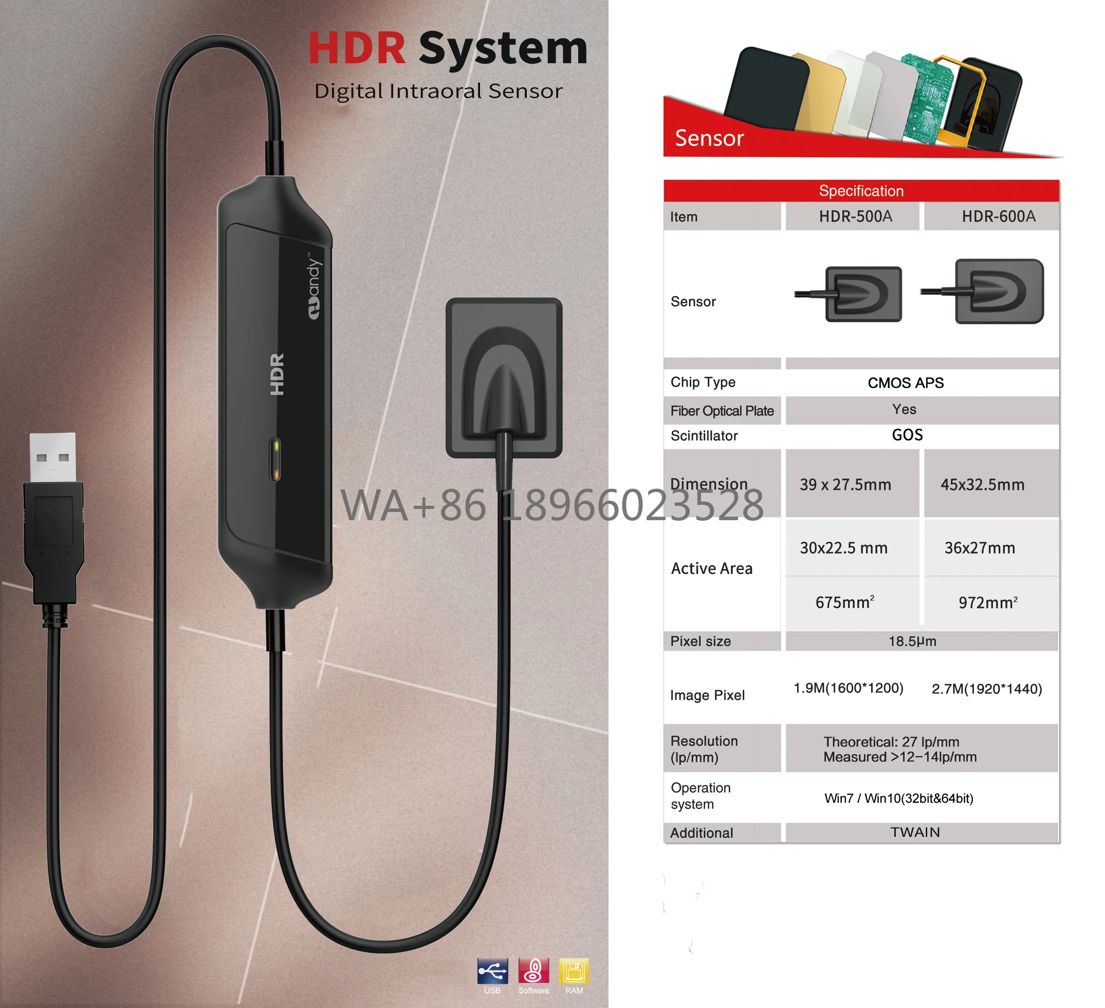

Portable Digital Rvg Dental X-ray Sensor Dental X Ray Dental Xray Sensor for Adult & Children