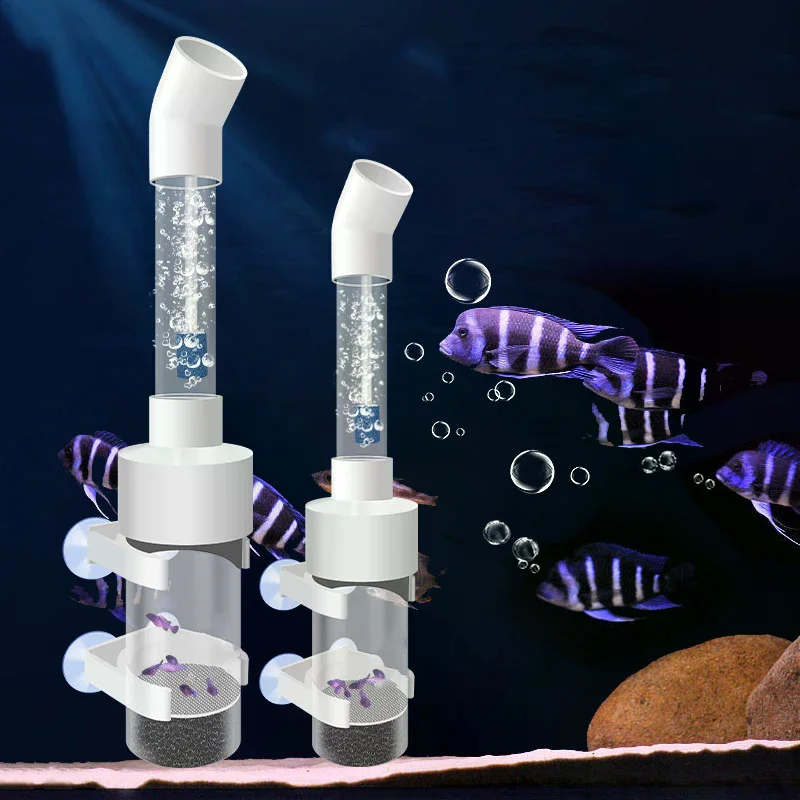 50mm Tumbler Incubator Fish Ha - đánh giá và giá Aquarium Fish Cichlid